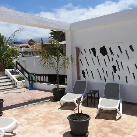 Casa de Férias Flores 4