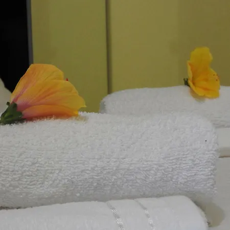 Casa de Férias Flores 4 *